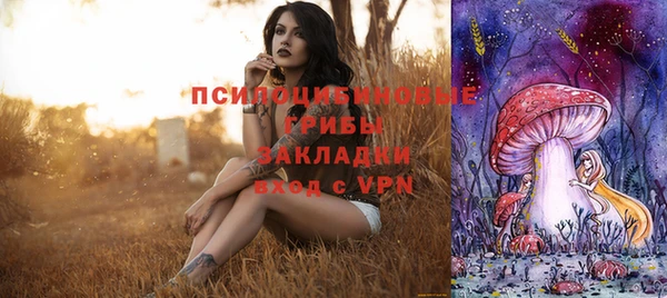 дурь Михайлов