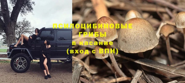 стафф Абдулино