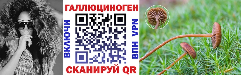 Галлюциногенные грибы Psilocybe  Норильск 